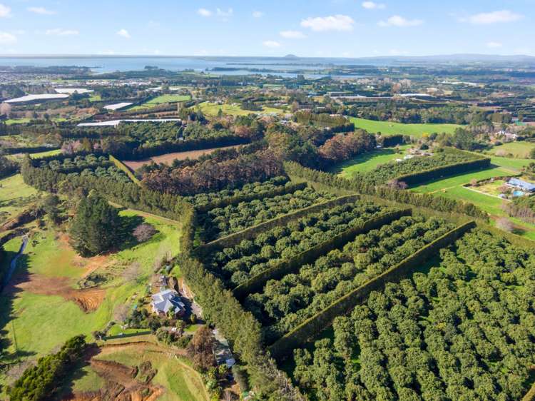 12 Timon Drive Hauraki Surrounds_5