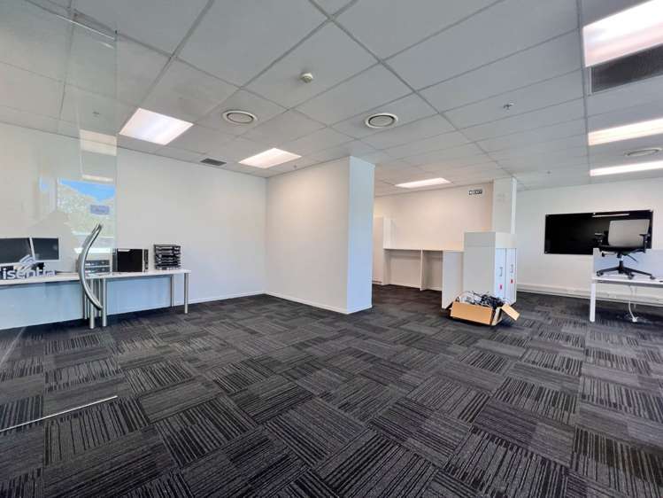 18 Normanby Road Mt Eden_4