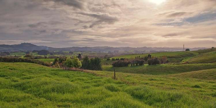 91 Mcintosh Drive Pokeno_2