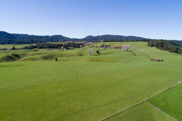 628 Pakaraka Road Kaimai Mamaku Conservation Park_6