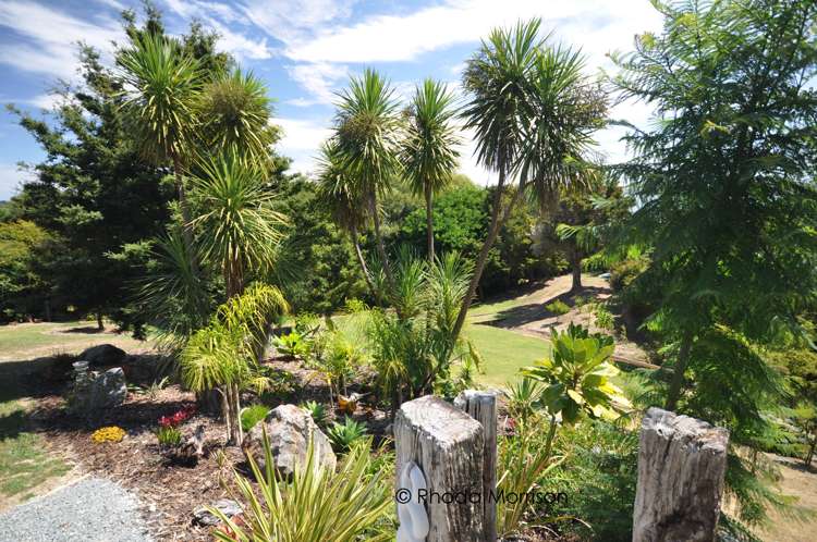 530a Pahi Road Paparoa_30