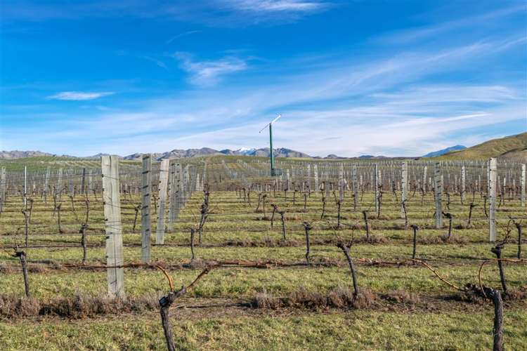 5468 State Highway 1 Seddon_10