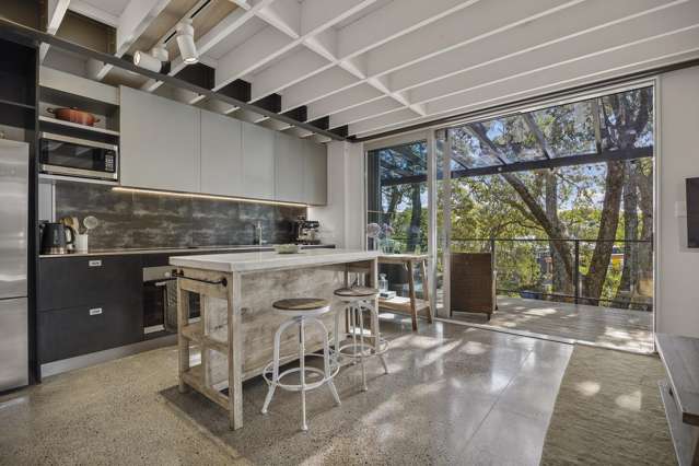 19 Foundries Lane Freemans Bay_3