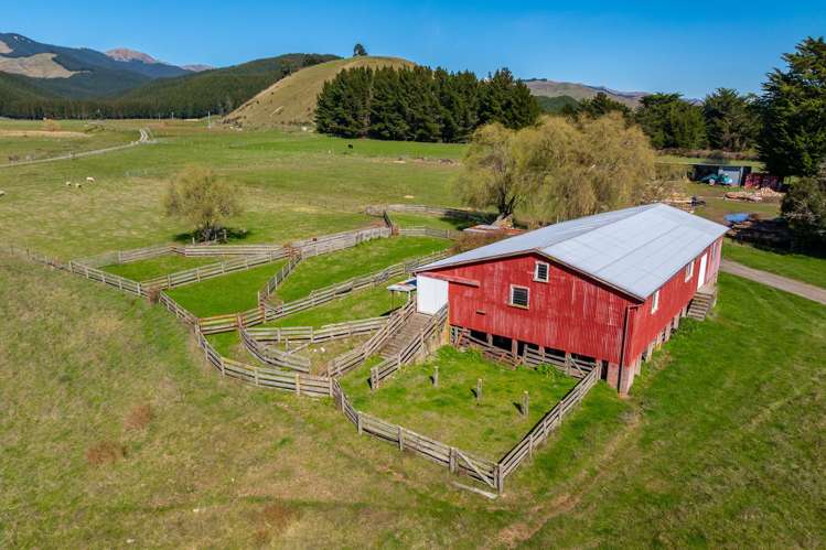 3487 State Highway 63 Wairau Valley_16