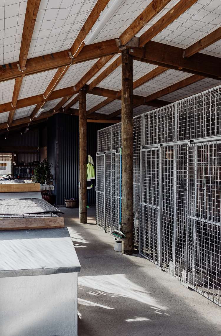 987 State Highway 6 Camerons_30