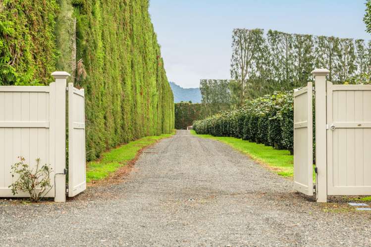 249 Walker Road East Aongatete_6