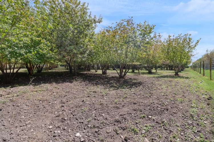 8 Ingram Road Hexton_7