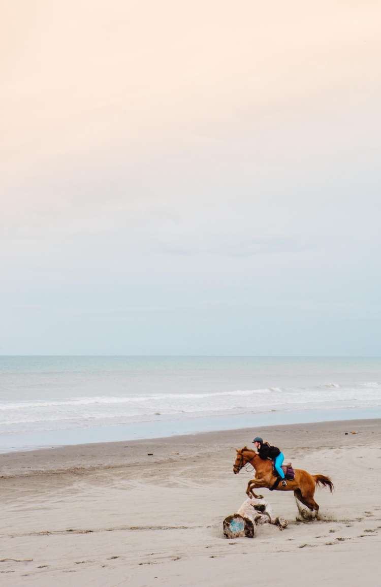 6 Paetawa Road Peka Peka_36