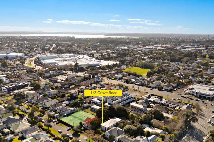 1/3 Grove Road Sandringham_10