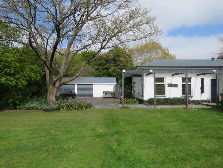 74 School Road Geraldine_19