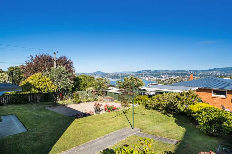 243 Highcliff Road Shiel Hill_17