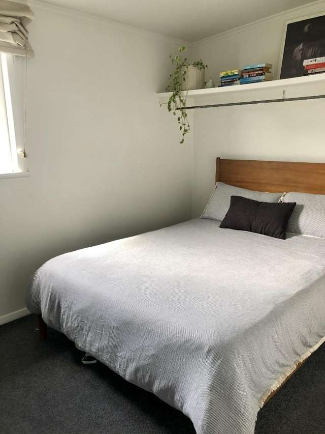 2/131 Williamson Avenue Grey Lynn_4