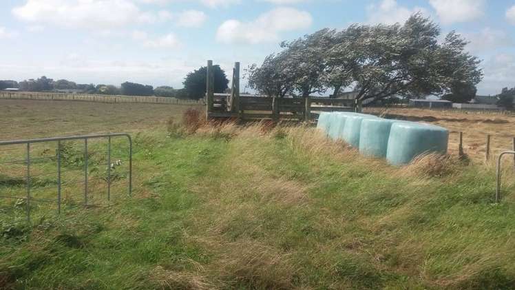 414 Kellow Road Glen Oroua_6