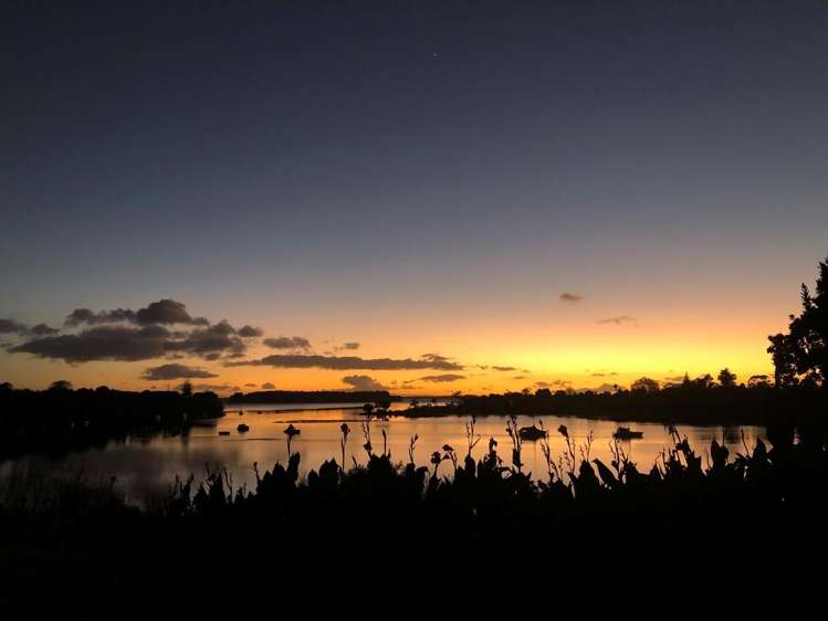 276 Plummers Point Road Whakamarama_31