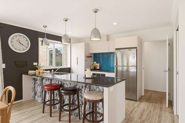95B Tihi Road Springfield_8