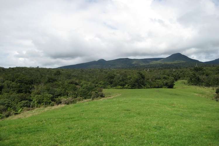 1113 Plymouth Road Koru_1