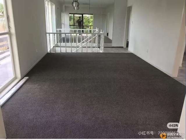 217 Sturges Road Henderson_3