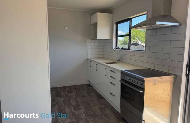 29A Andrews Street Paeroa_1