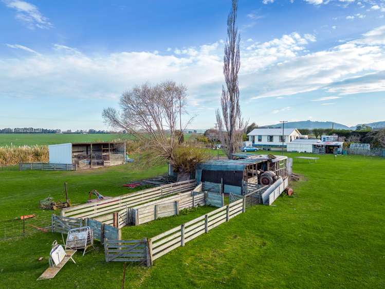 263 Molloys Road Waimate_24