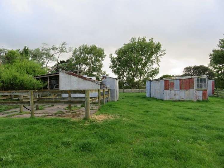 39 Brandon Hall Road Bulls_21