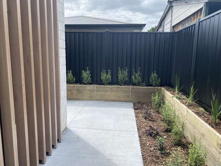 8/1460 Cameron Road Greerton_5