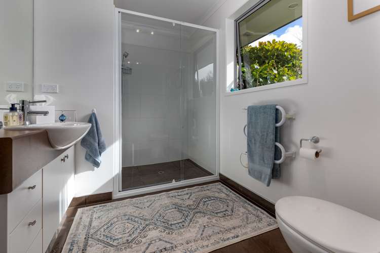 101 Logan Road Pukekawa_7