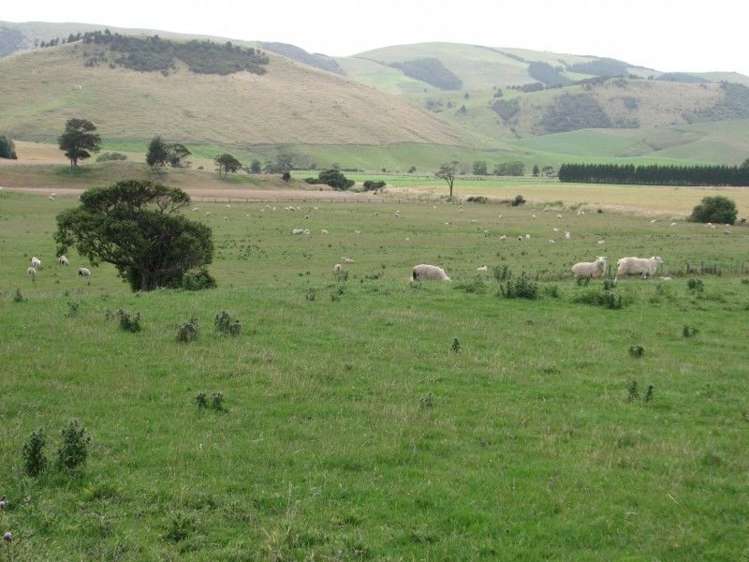 544 Owaka Valley Road Catlins Surrounds_4