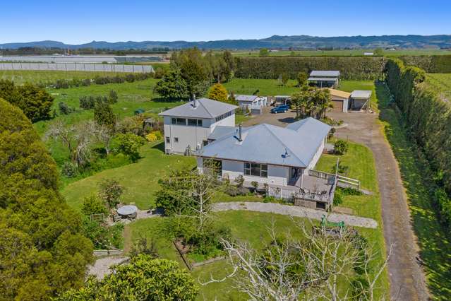 424 East Bank Road Edgecumbe_1