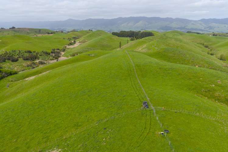 137 Zigzag Road Pohangina Valley_7