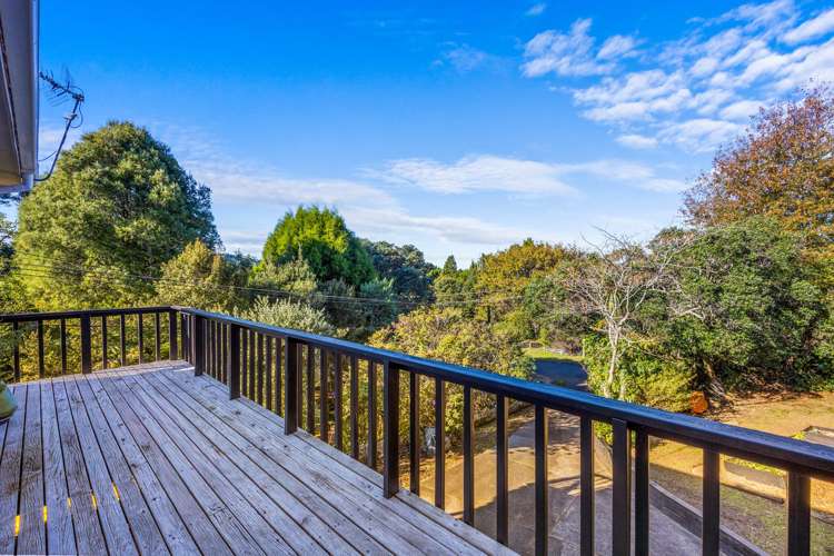 34 Rauhuia Crescent_5