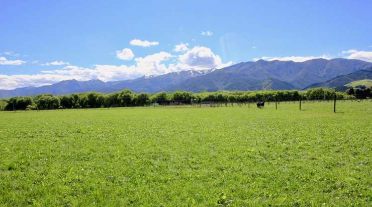 37 Woodbank Road Hanmer Springs_9