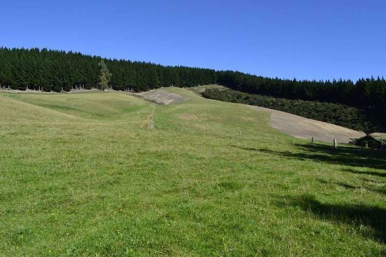 452 Falla Burn Road Balclutha_14