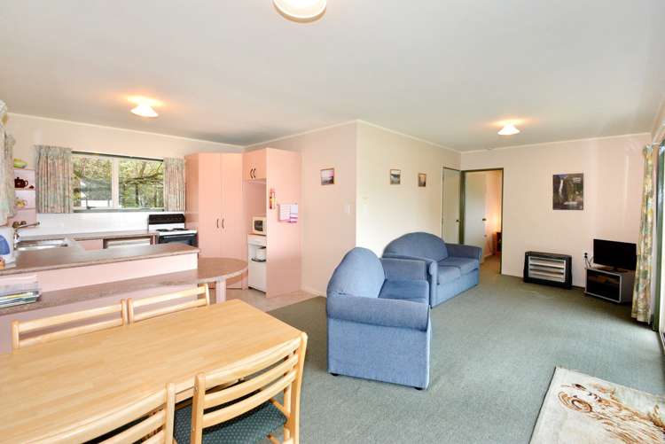 938 Harington Point Road Harington Point_18