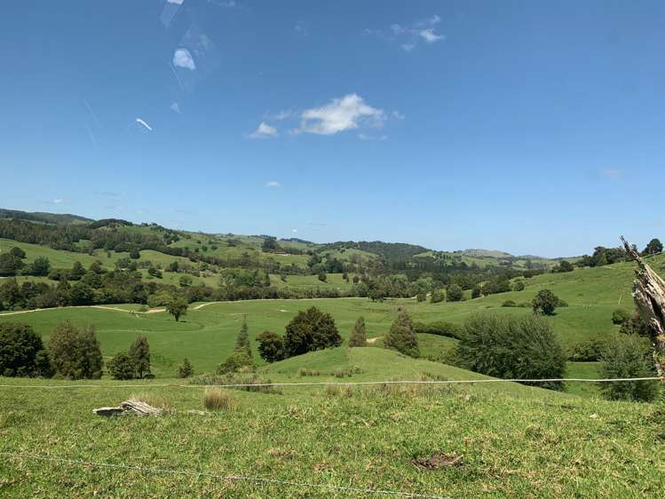535 Omahuta Road Mangamuka_13