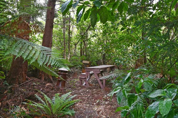 86d Kaitoke Loop Kaitoke_19