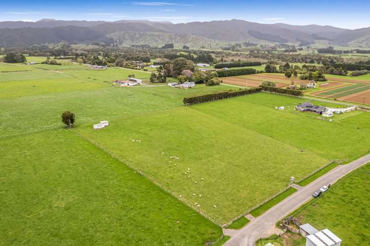 291a Kimberley Road Levin_1