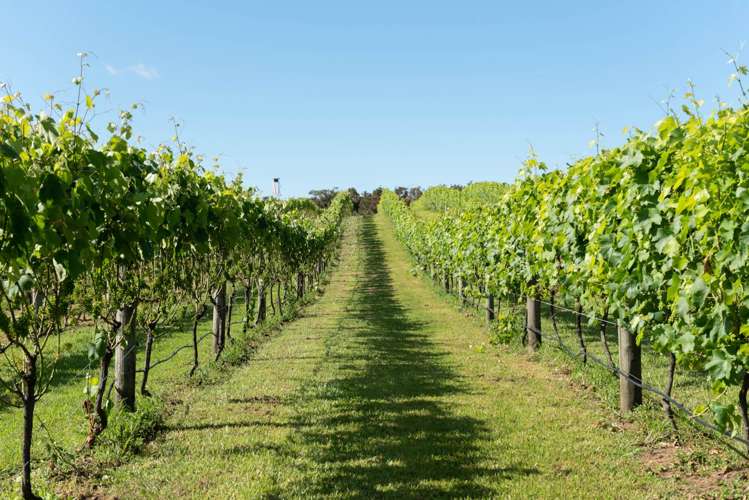 165A Waimate North Road Kerikeri_13