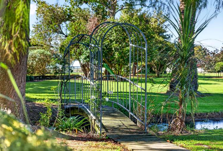 195 Park Road Parkvale_24
