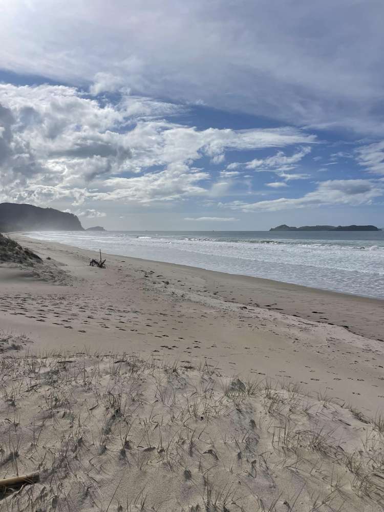 289E Opoutere Road Opoutere_40