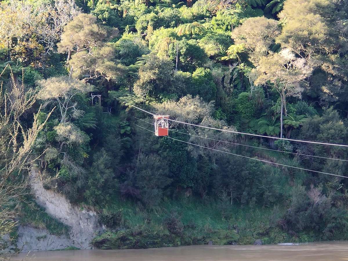 3081 Whanganui River Road_3
