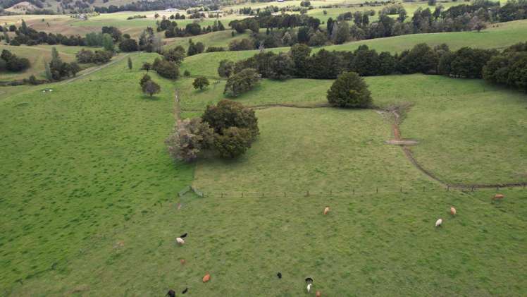 1387 State Highway 1 Okaihau_3