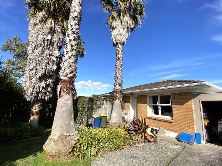 2/8a Belmont Terrace Milford_1