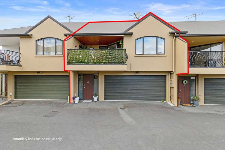 438f Tristram Street Whitiora_18