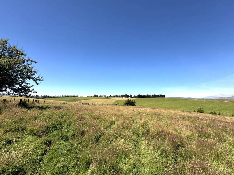 86 Totara Island Road Balclutha_28