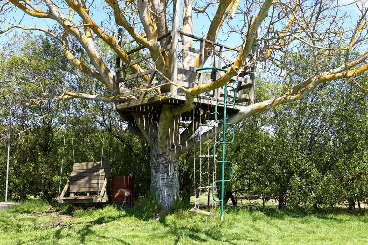 87 York Road Longlands_17