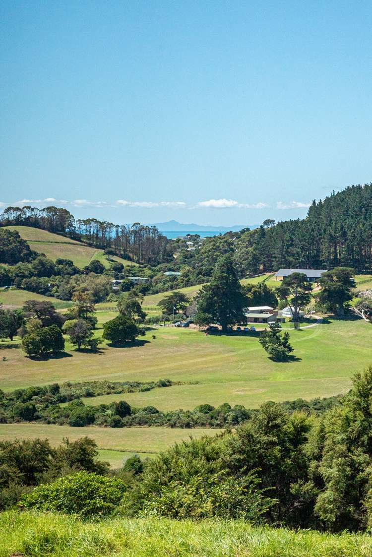 100 Musson Drive Waiheke Island_16