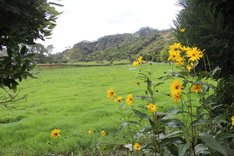 652 Piko Road Okoki_20