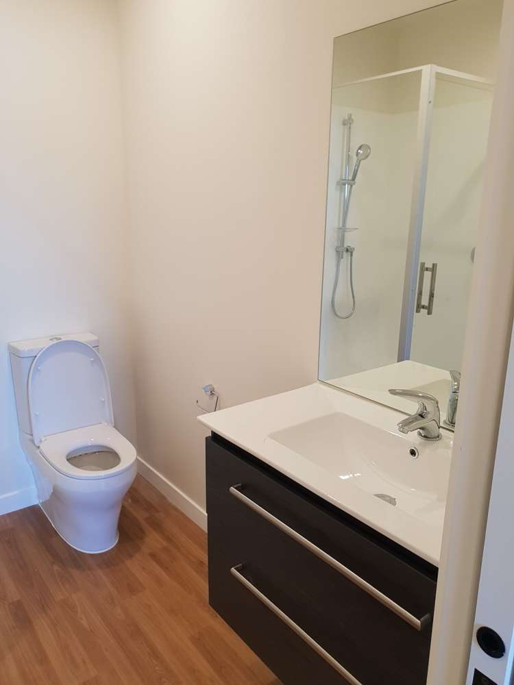 65 Glenda Drive Frankton_6