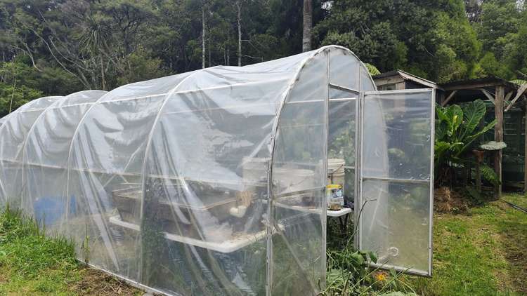 Address withheld Waipu_5