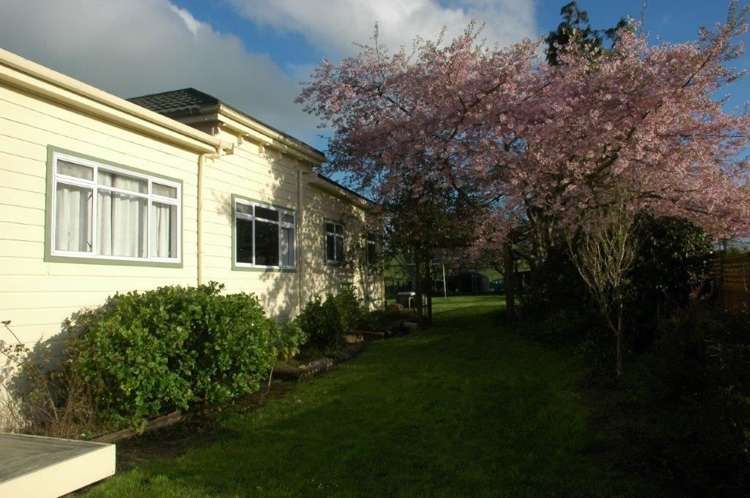 374 Kuranui Road Morrinsville_12